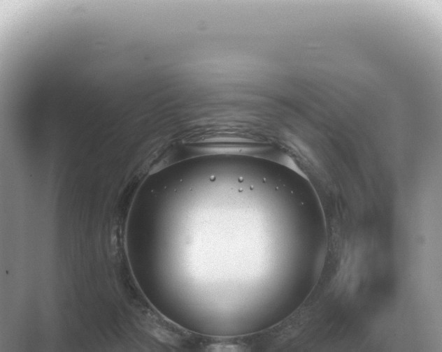 X0000071390169200606301845