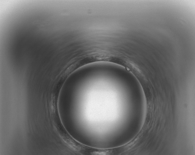 X0000071390170200606301845