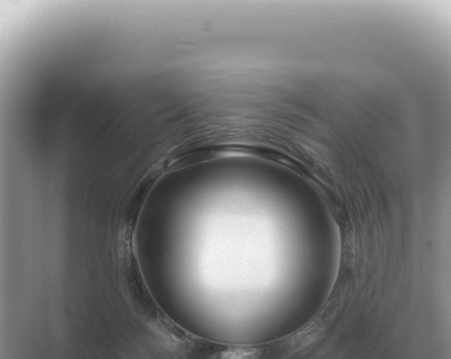 X0000071390172200606301845