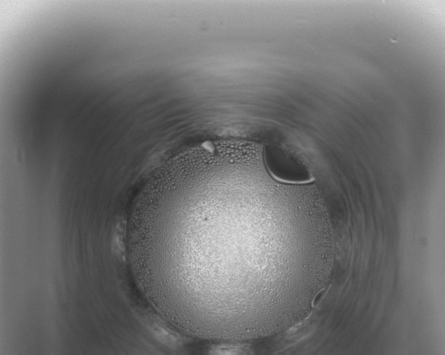 X0000071390175200606301845