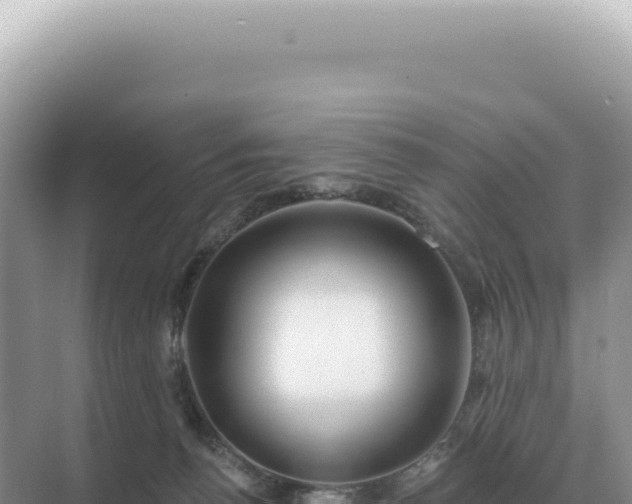 X0000071390176200606301845