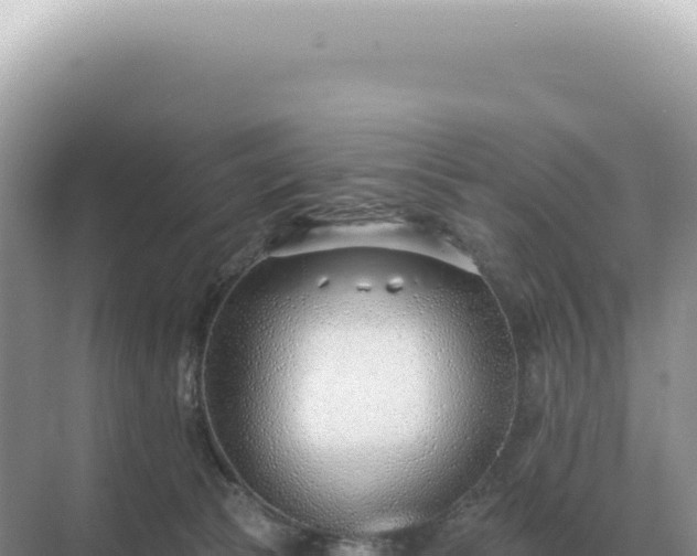 X0000071390177200606301845