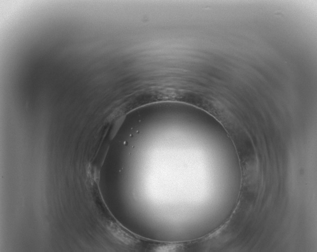 X0000071390178200606301845