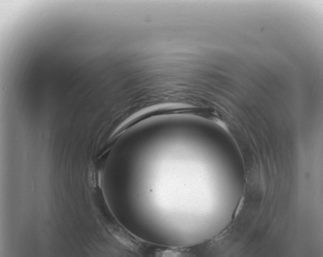 X0000071390180200606301845