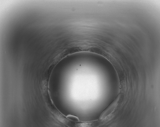 X0000071390184200606301845