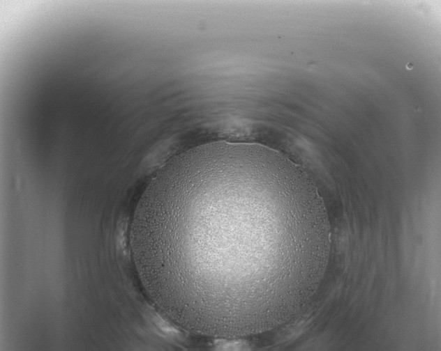 X0000071390185200606301845