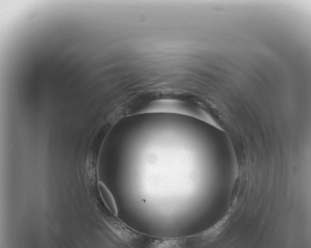 X0000071390186200606301845