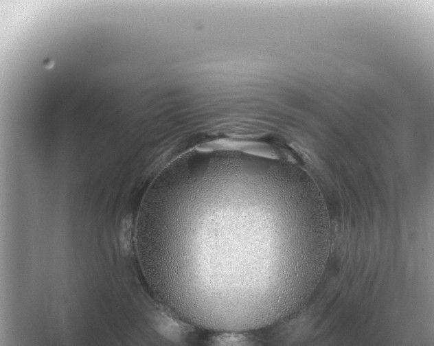 X0000071390189200606301845