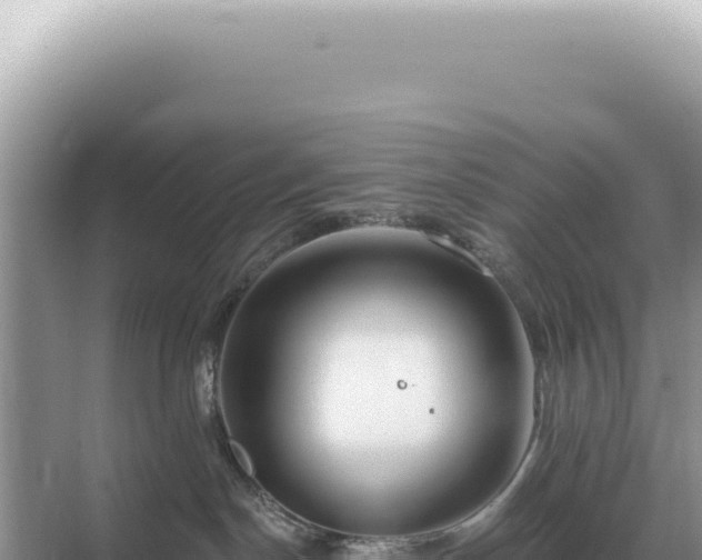 X0000071390190200606301845