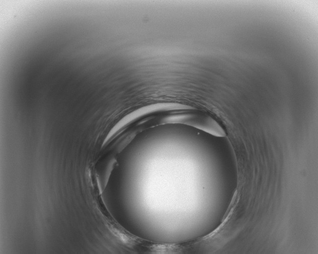 X0000071390192200606301845