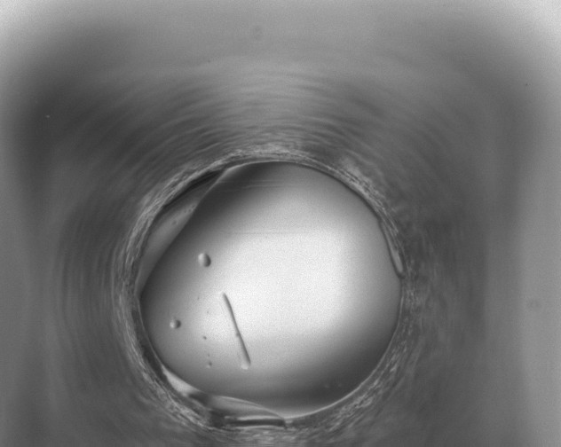 X0000071390193200606301845