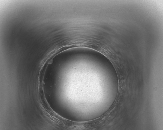 X0000071390194200606301844