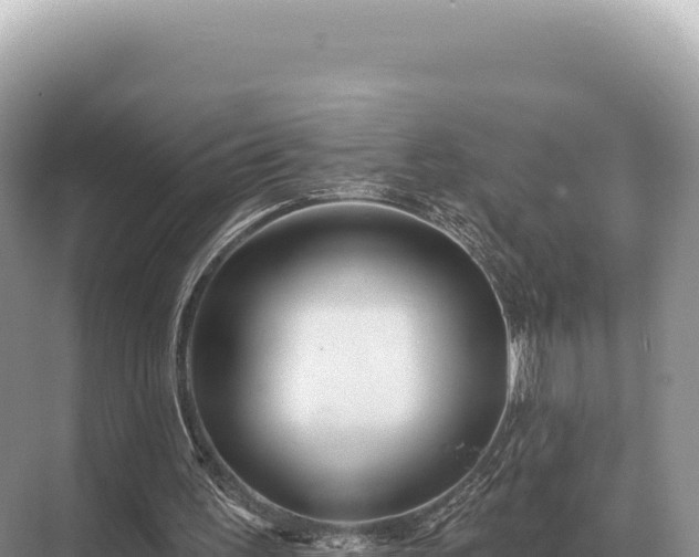 X0000071390195200606301844