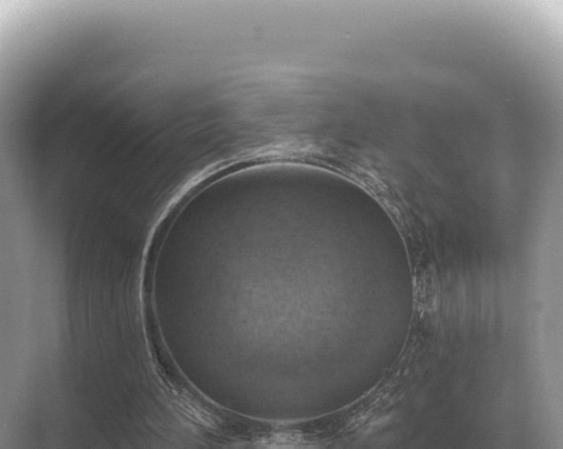 X0000071390196200606301844