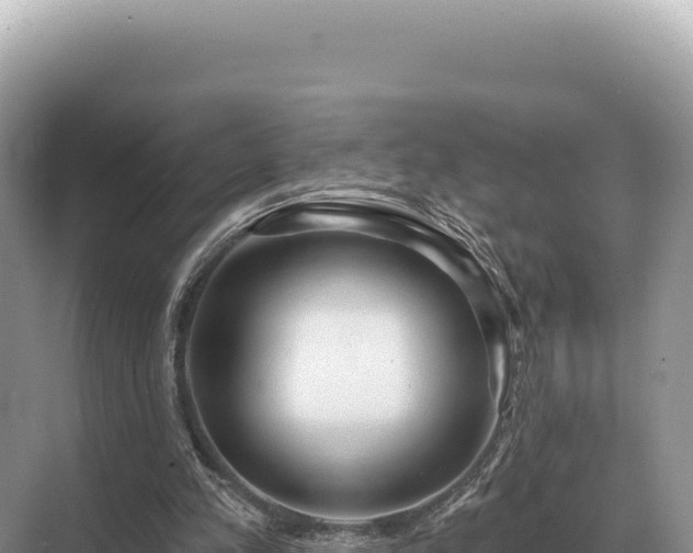 X0000071390197200606301844