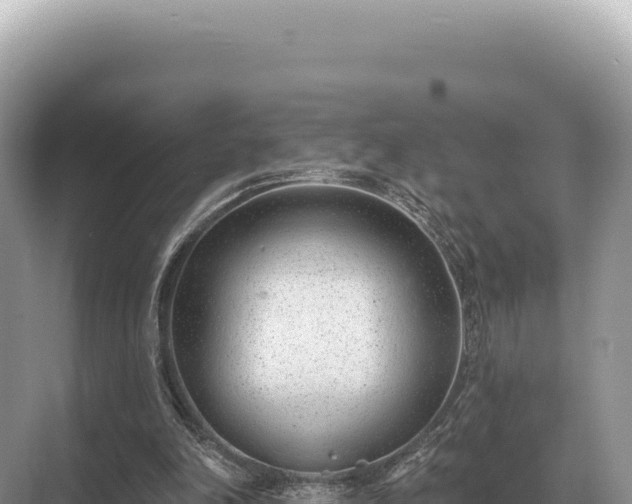 X0000071390198200606301844