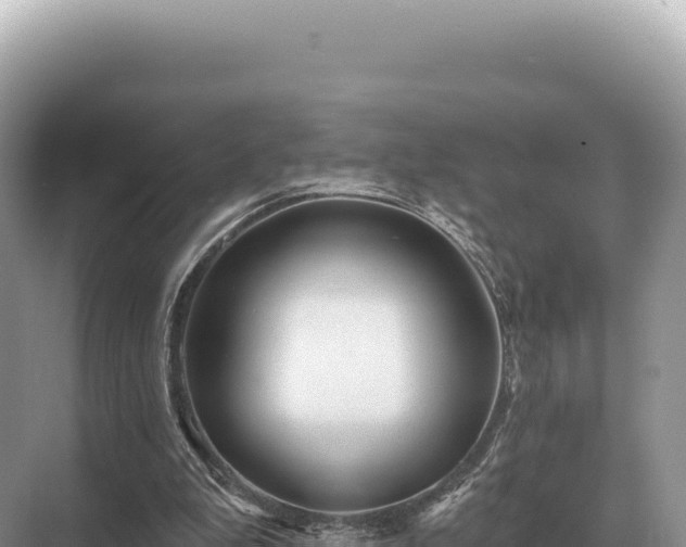 X0000071390199200606301844