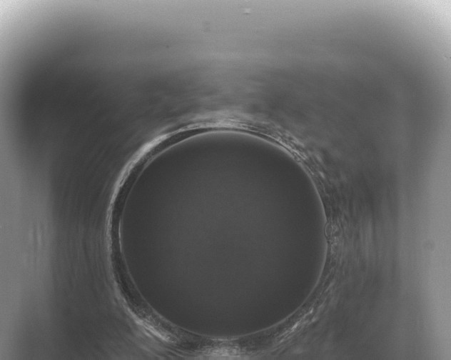 X0000071390200200606301844