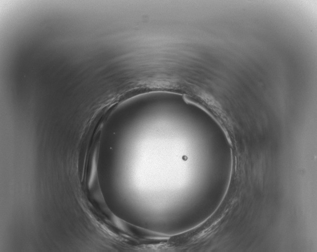 X0000071390201200606301844