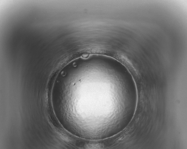 X0000071390202200606301844