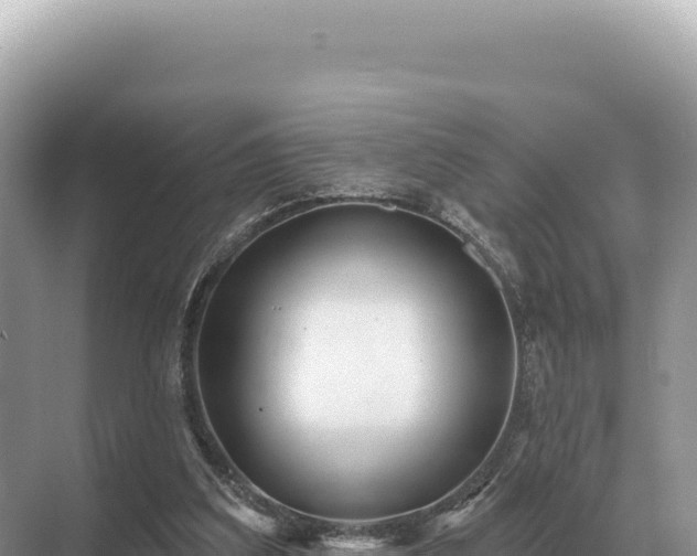 X0000071390203200606301844