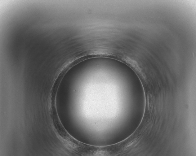 X0000071390204200606301844