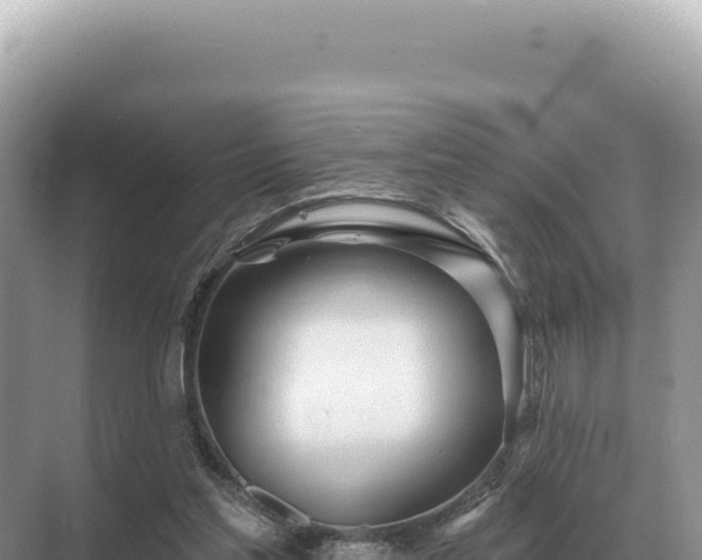 X0000071390205200606301844