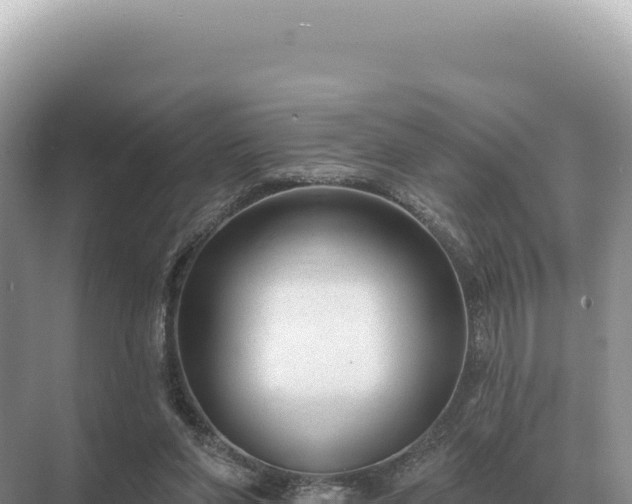 X0000071390206200606301844