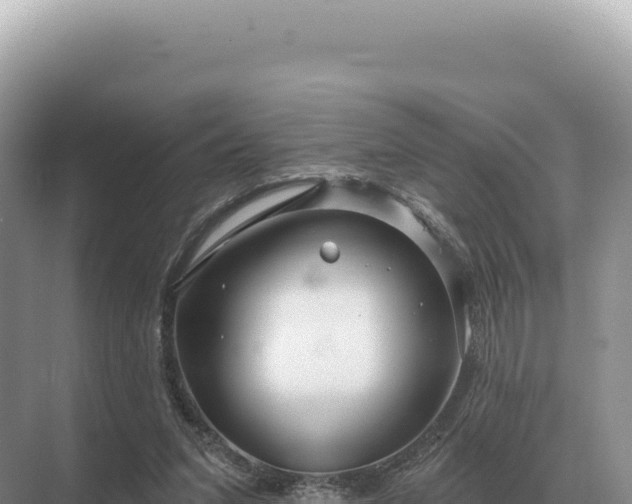 X0000071390207200606301844