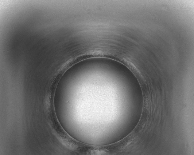 X0000071390208200606301844