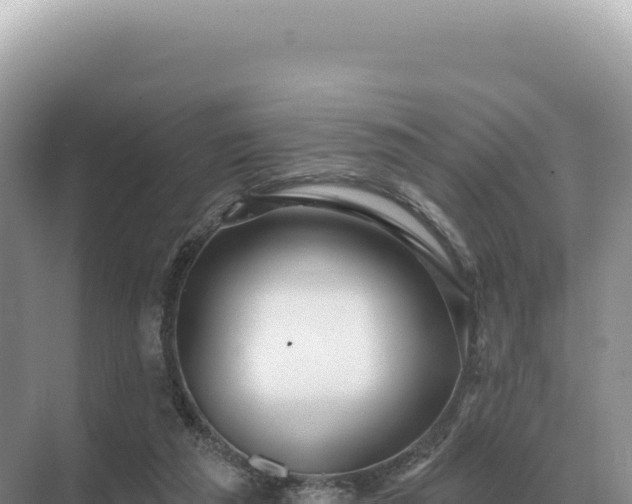 X0000071390209200606301844