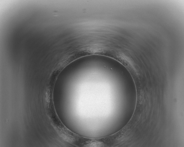 X0000071390210200606301844