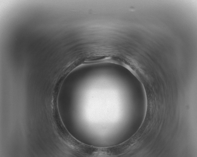 X0000071390211200606301844