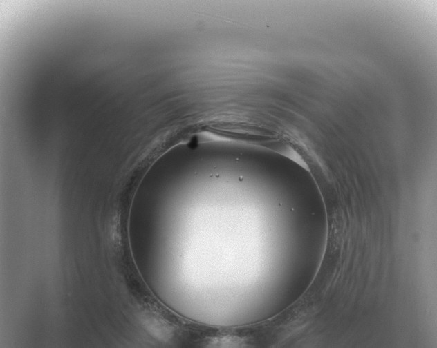 X0000071390212200606301844