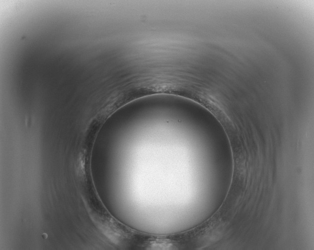 X0000071390214200606301844