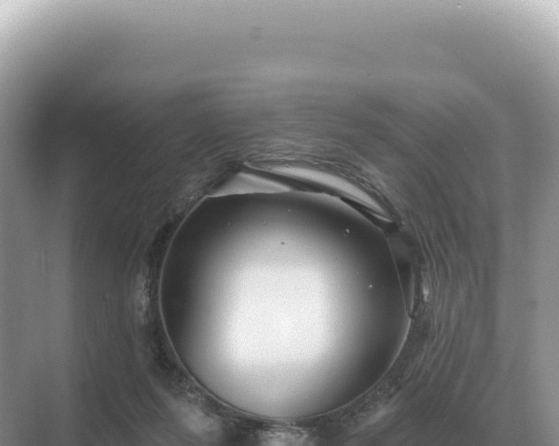 X0000071390215200606301844