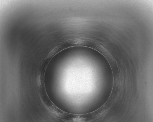 X0000071390216200606301844