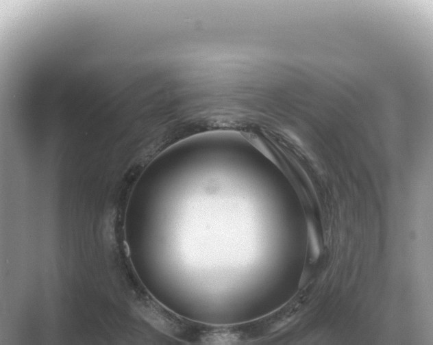 X0000071390217200606301844