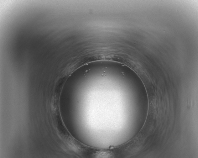 X0000071390218200606301844