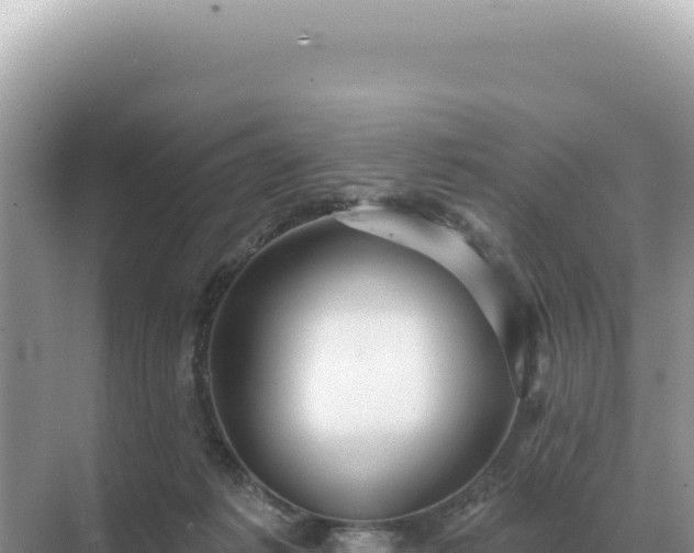 X0000071390221200606301844