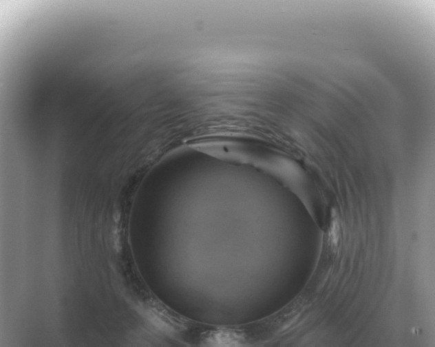 X0000071390223200606301844