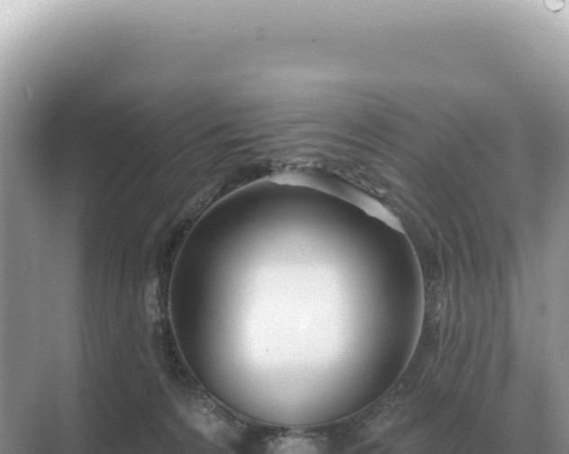 X0000071390224200606301844