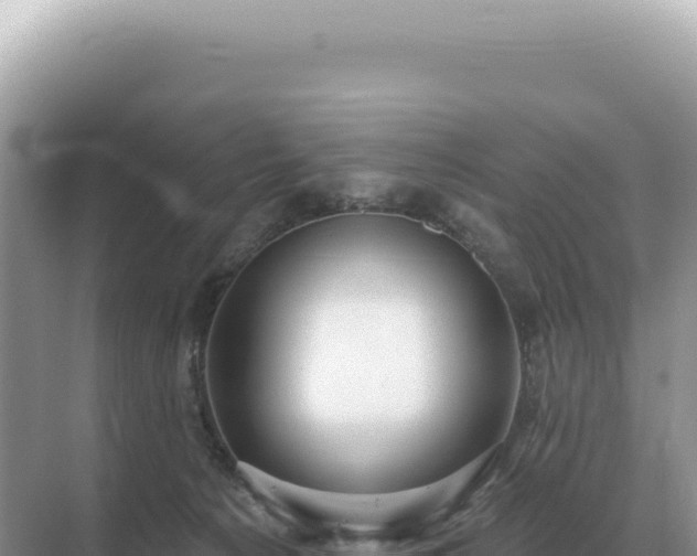 X0000071390225200606301844