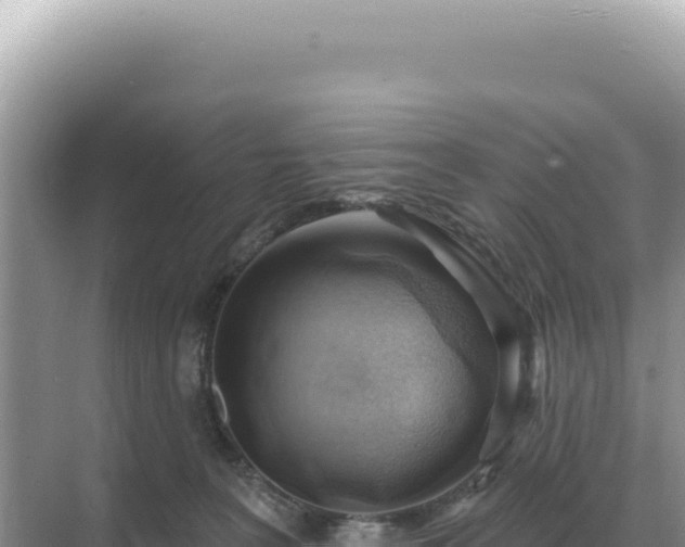 X0000071390227200606301844