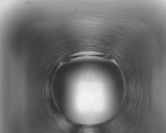 X0000071390228200606301844