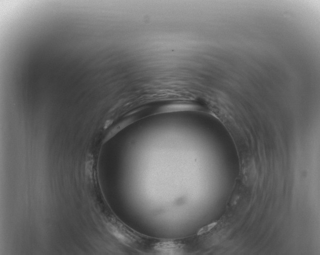 X0000071390231200606301844