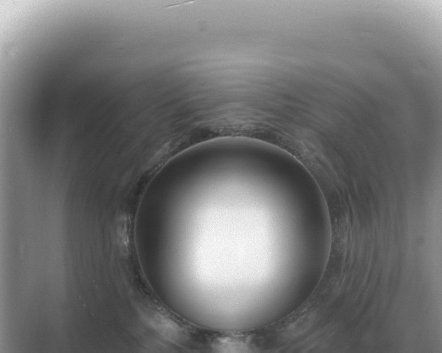 X0000071390232200606301844