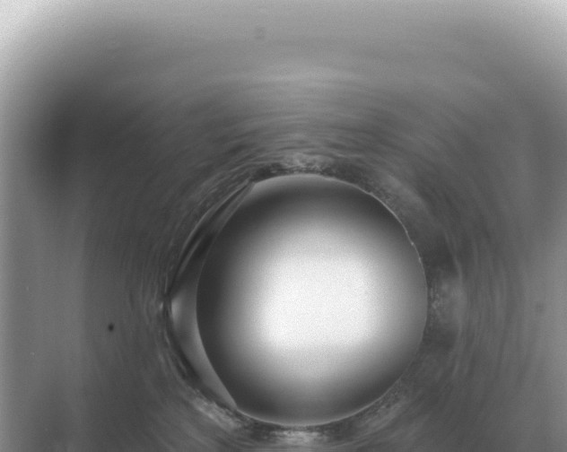 X0000071390233200606301844