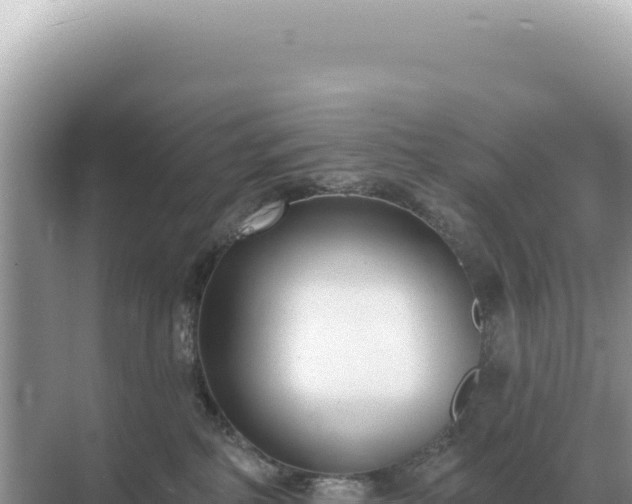 X0000071390234200606301844