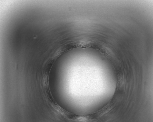 X0000071390236200606301844